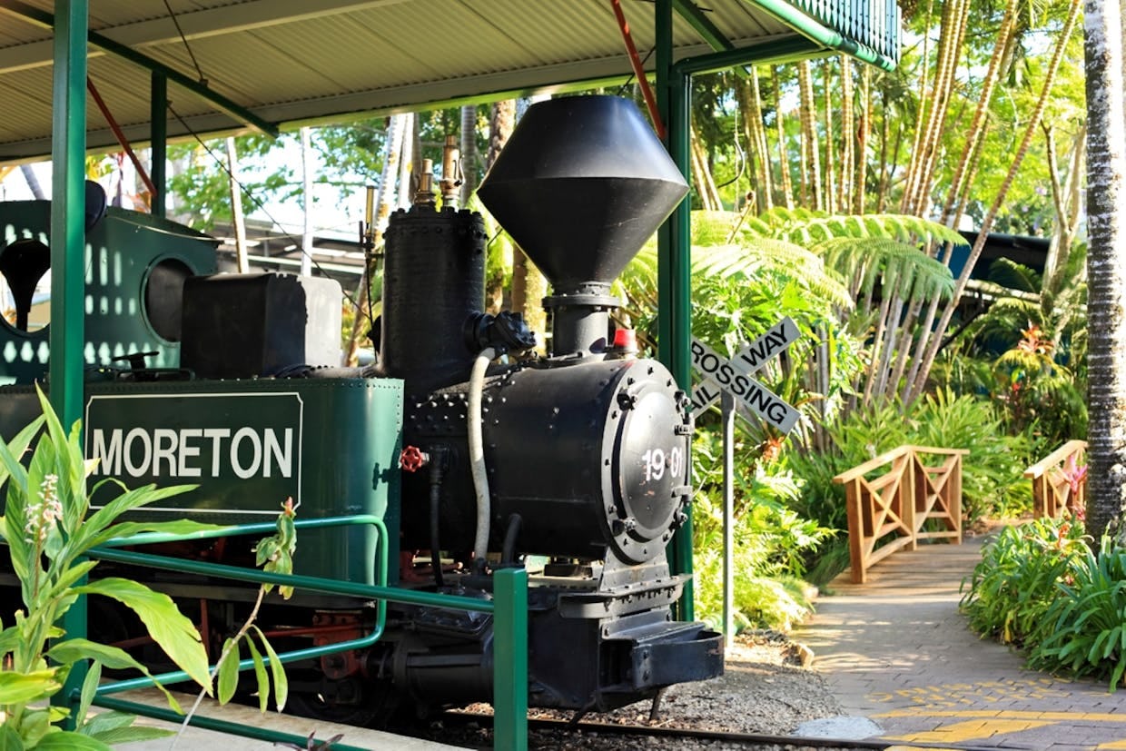 'Moreton' The Ginger Train
