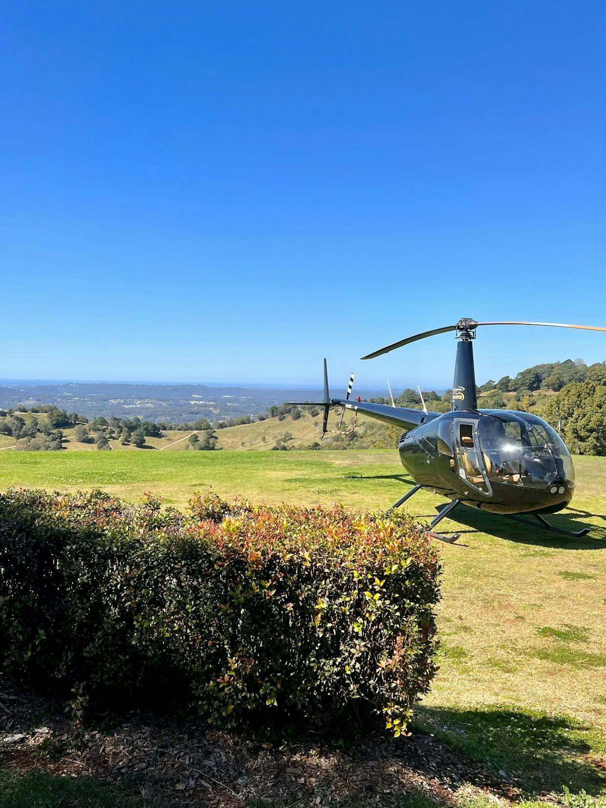 Special Mothers day lunch via helicopter all inclusive