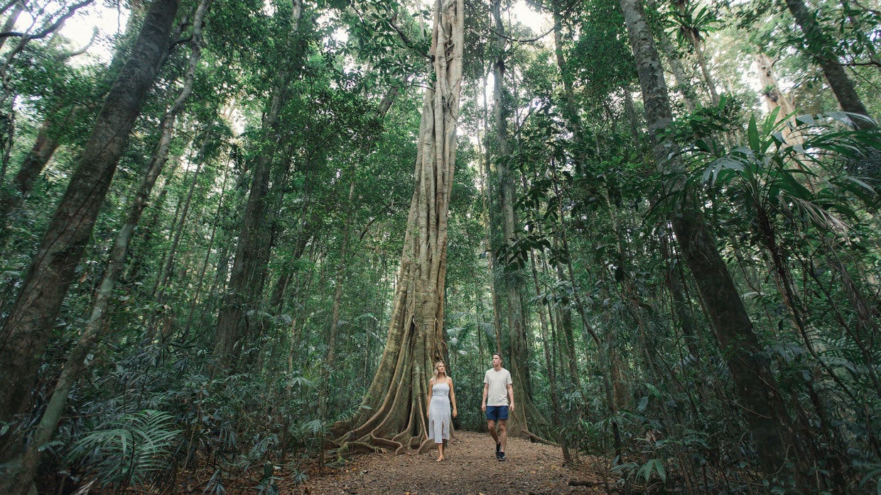 Eight reasons to visit Nambour and the Sunshine Coast Hinterland this autumn