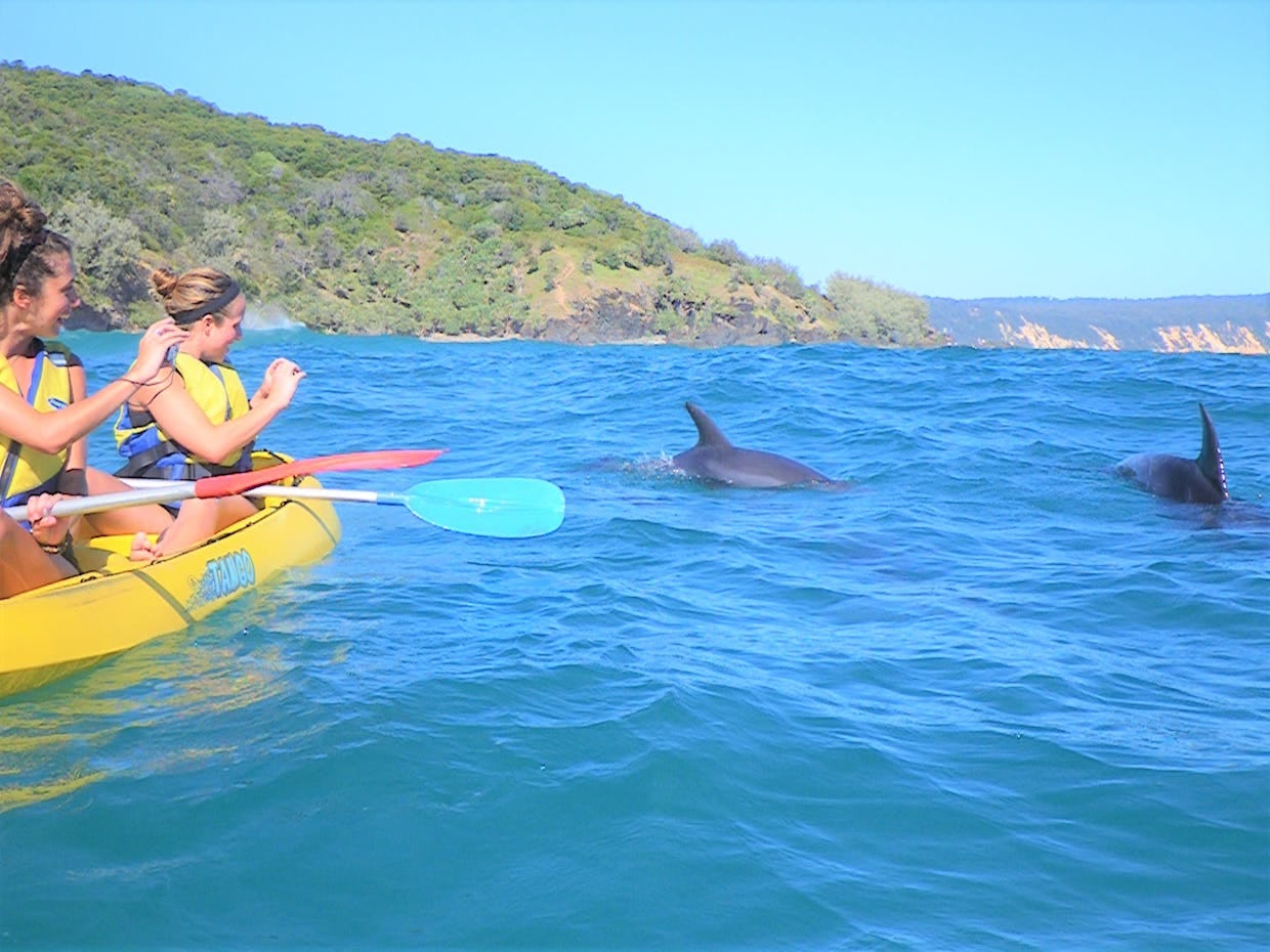 Noosa Private National Park Dolphin Kayak Surf Tour