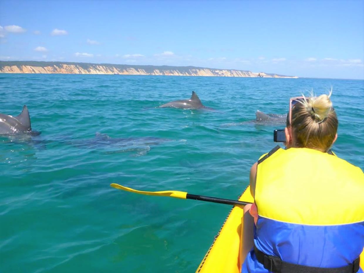 Dolphin Sea Kayak Tour & Beach 4X4 Noosa 10% Off