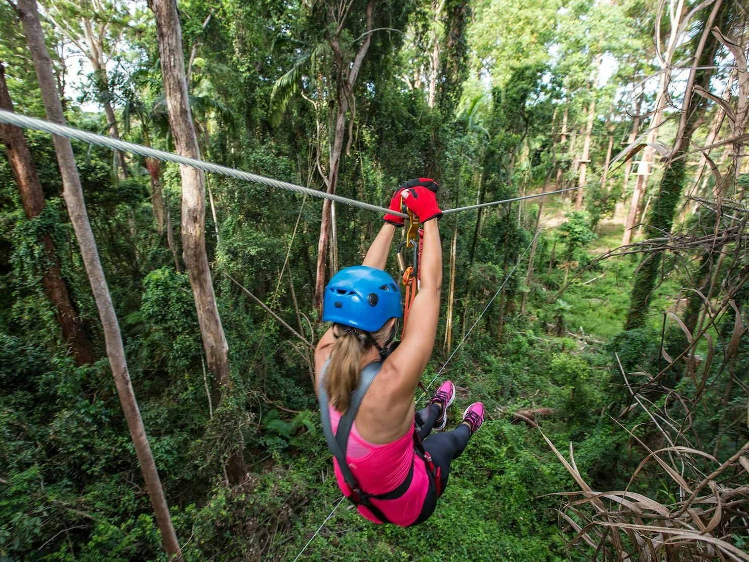 TreeTop Challenge - Sunshine Coast