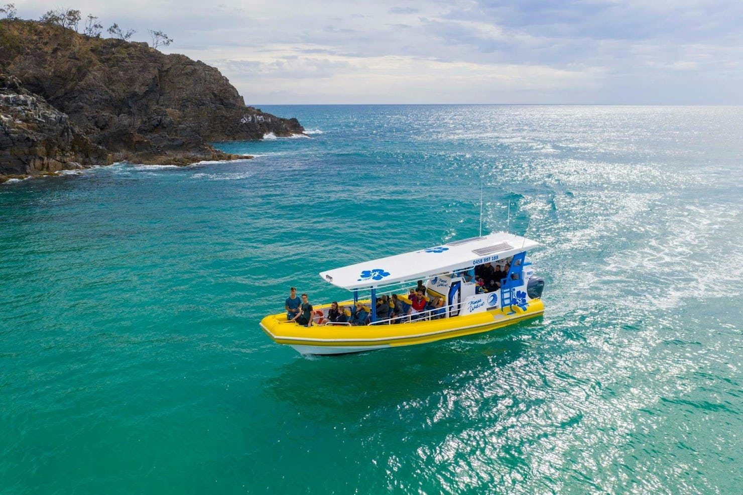 Dolphin Adventure Ride- Noosa Wave Boating Adventures