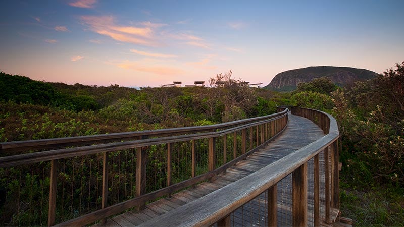 Boardwalk with Mount Coolum in view