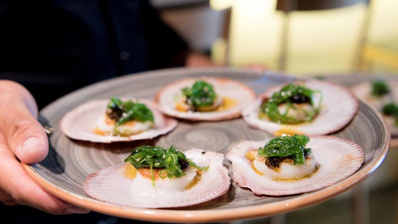 Scallops to share from Backlane Tapas & Wine Bar.