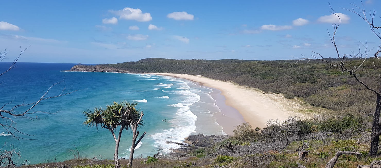 4 beautiful Sunshine Coast hikes and walks