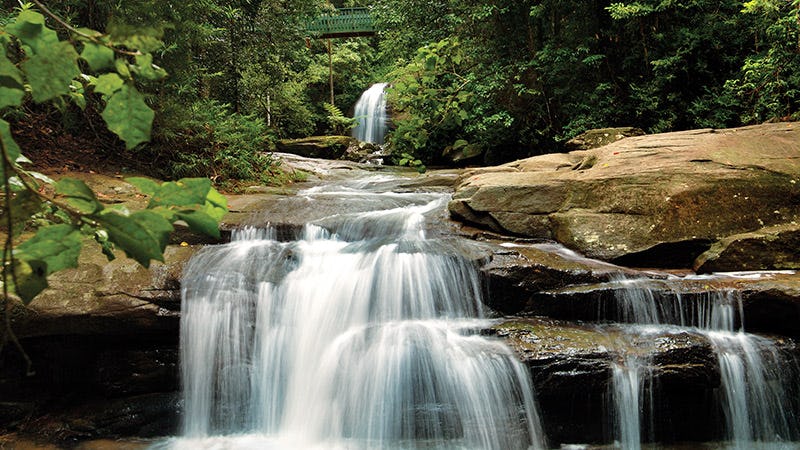 Buderim Forest Waterfalls (Serenity Falls), Buderim
