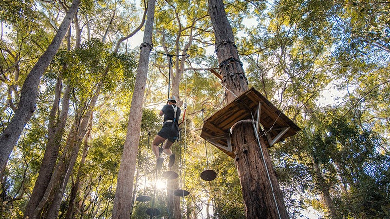 Treetop Challenge Sunshine Coast, Woombye