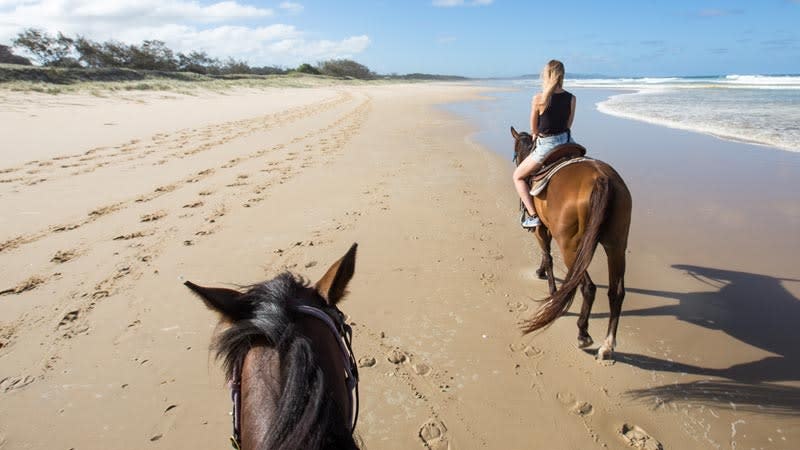 Horse rides on the beach