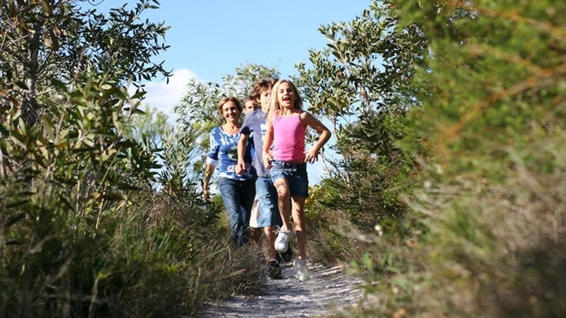 Lace up your hiking boots and take one of the many bush-beach trails down to the water.