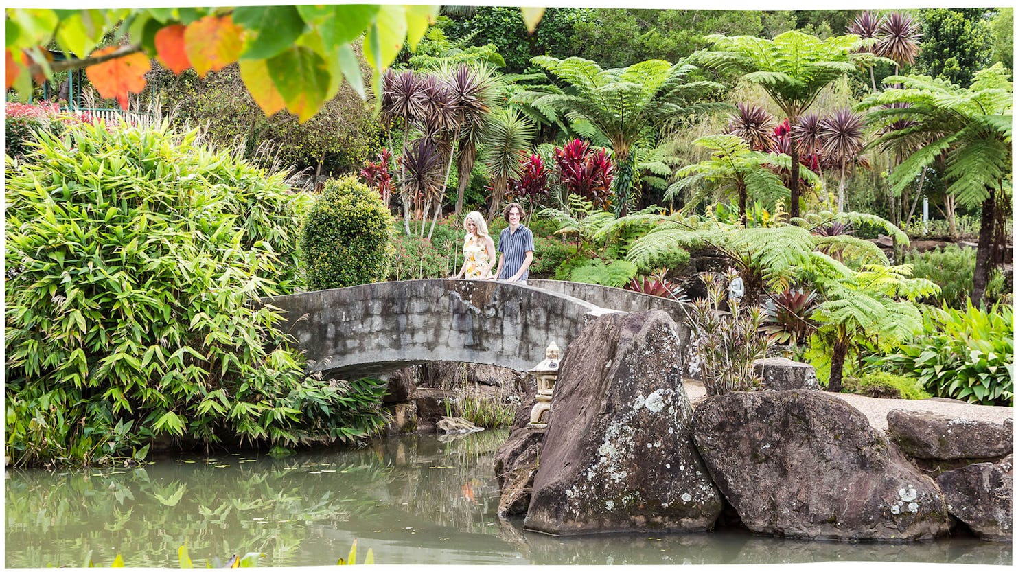 Maleny Botanic Gardens and Birdworld
