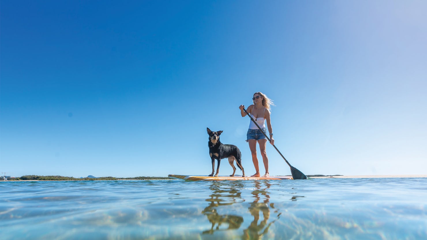 Pet-friendly adventures on the Sunshine Coast