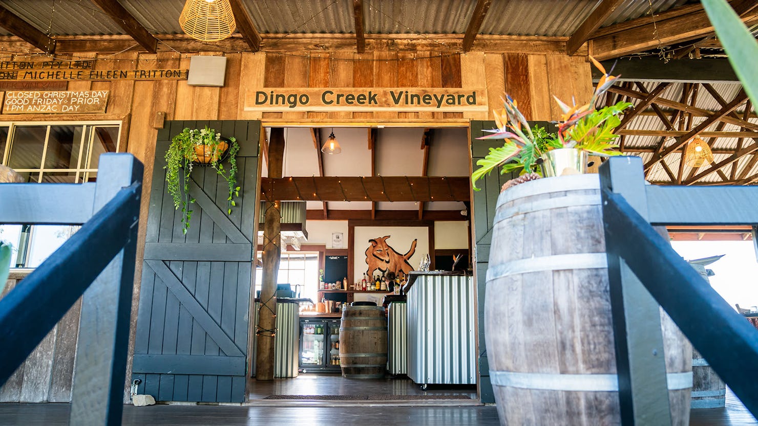 Dingo Creek Vineyard, Mary Valley GourMay 2023