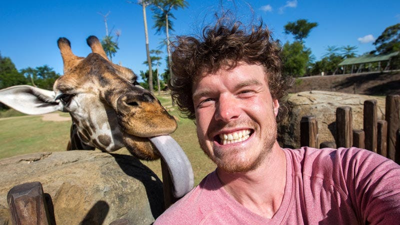 Allan Dixon's six epic Sunshine Coast animal encounters