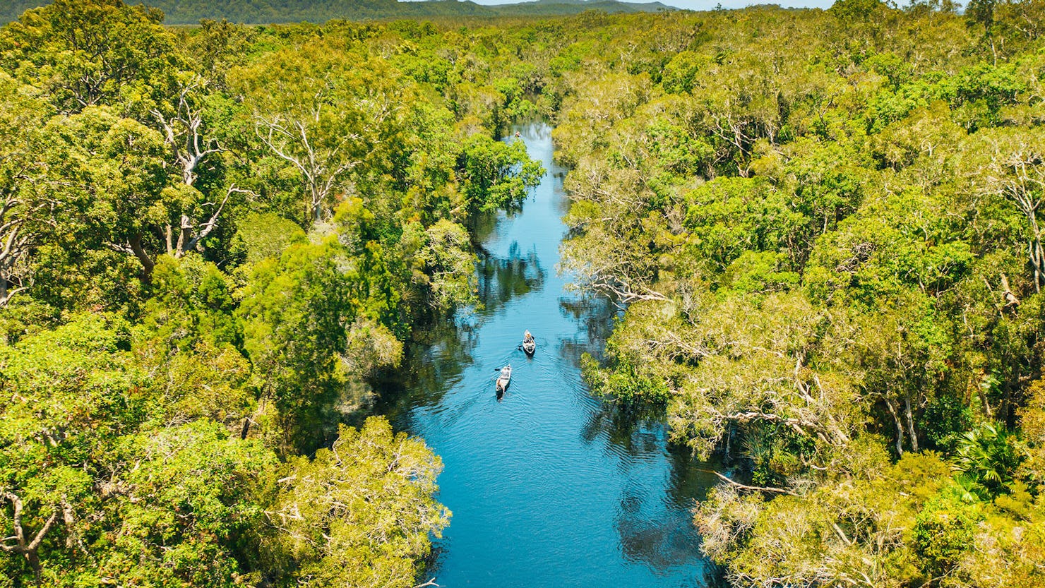 Kayaking down the Noosa Everglades. Credit: Tourism & Events Queensland