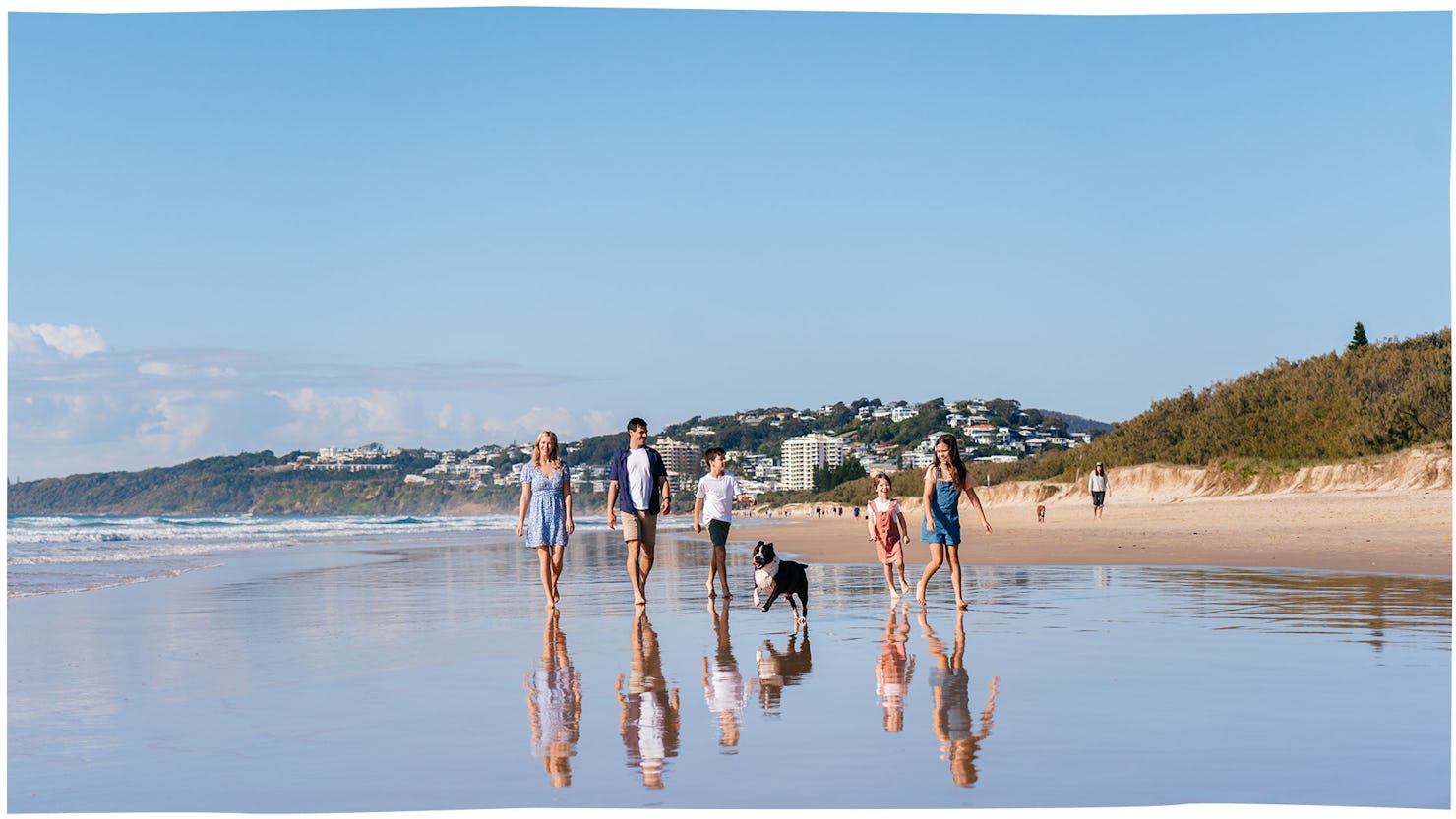 Beach walks with four legged friends