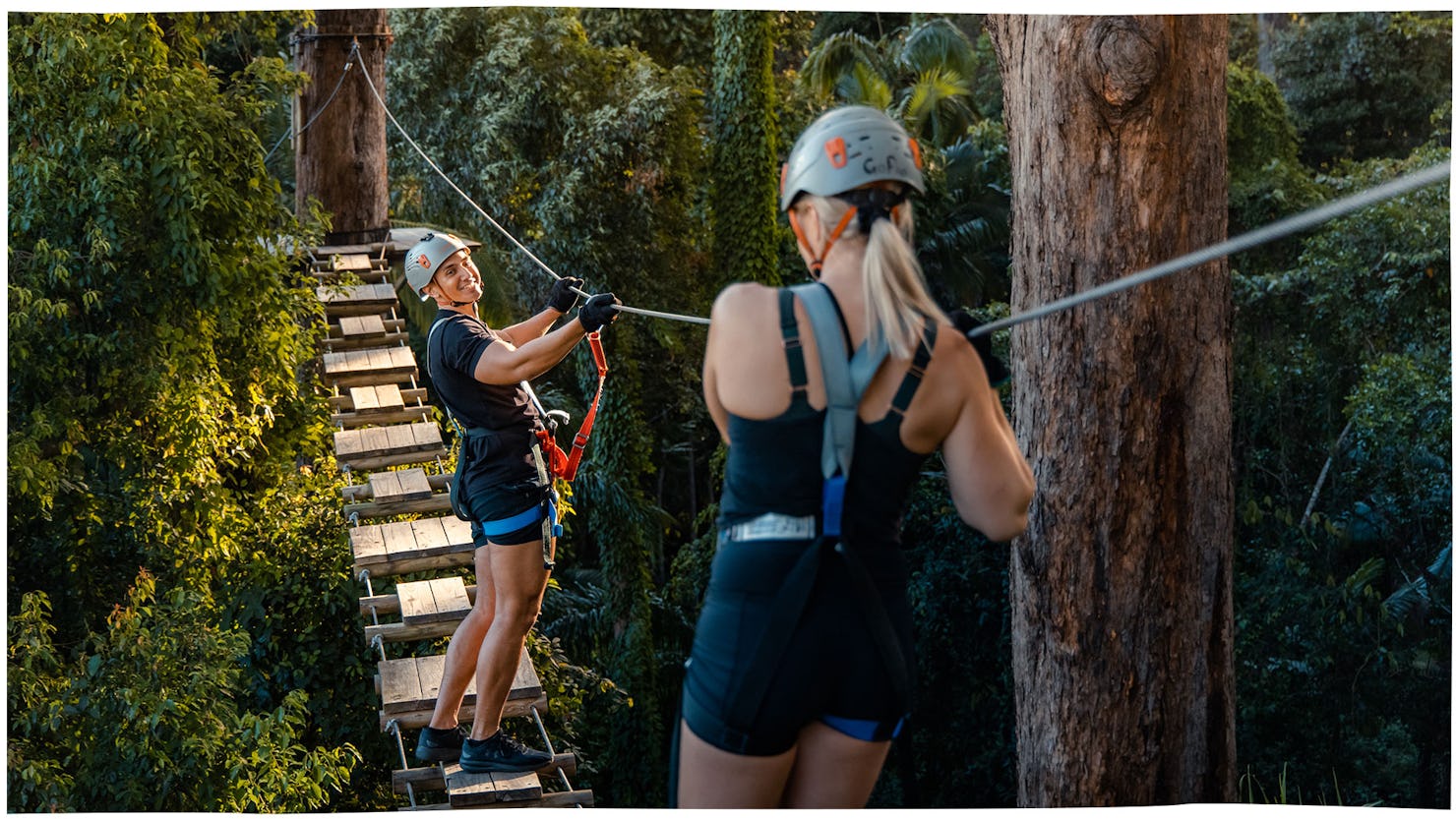  TreeTop Challenge Sunshine Coast, Woombye