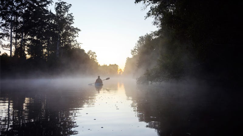 Misty, magic mornings on Yabba Creek.