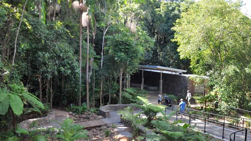 Mary Cairncross Scenic Resort and rainforest walk.