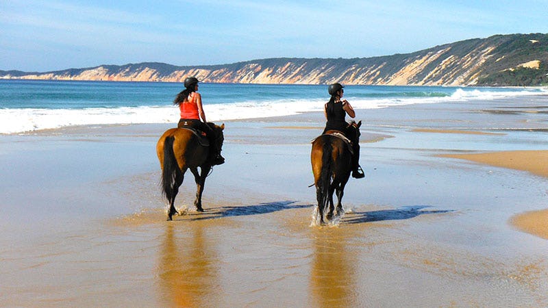 Horse riding, Rainbow Beach